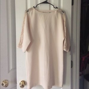 NWT extra small Zara lace sleeve dress